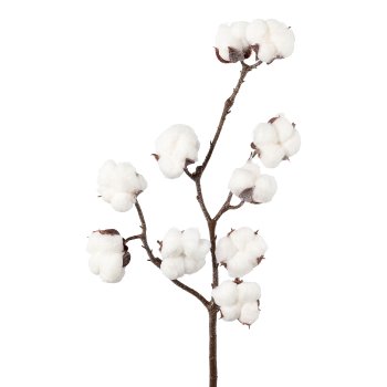 Cotton branch with frost, 46cm, frost
