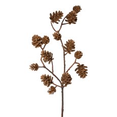 Branch of cones x 14, 51cm, brown,