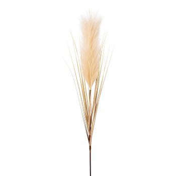 Pampas grass 6/poly, 115cm, cream, 6/pc.