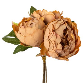 Peonies fret, 24cm, light brown,