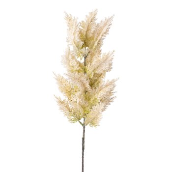 Pampas grass, 88cm, cream,