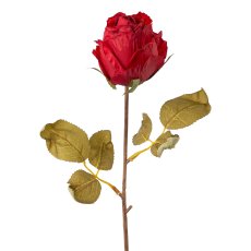 Rose, 45cm, rot,