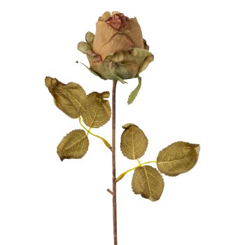 Rose, 45cm, grün-braun,