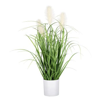 Pampas grass in white pot, 62 cm, cream