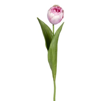 Tulpe, 48cm, dunkelrosa