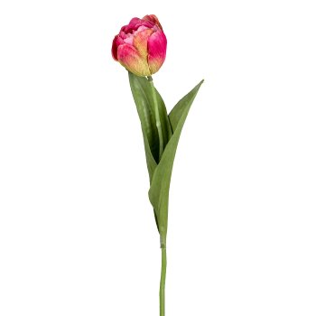 Tulpe, 48cm, pink