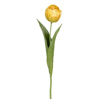 Tulpe, 48cm, gelb