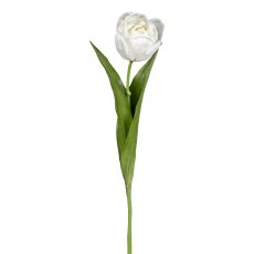 Tulip, 48 cm, white