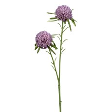 Dahlia x2, 46cm, purple