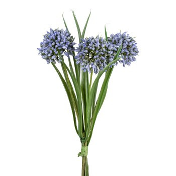 Allium-Grasbund, 28 cm