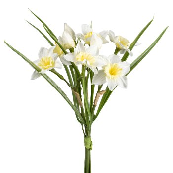 Narzissen-Grasbund, 33cm, creme