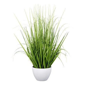 Grass in bowl