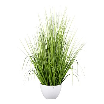 Grass in bowl