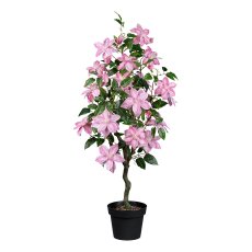 Clematisbaum im Topf, 122 cm, rosa