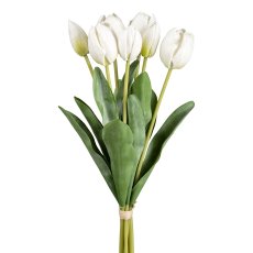 Tulpenbund x 7, 48 cm, weiß