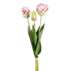 Tulpenbund x 3, 48 cm, rosa