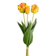 Tulip bunch x 3, 48 cm, orange