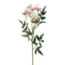 Wild rose, 55 cm, pink