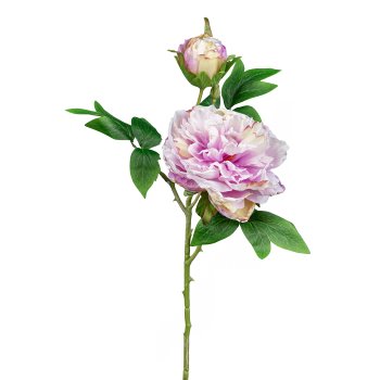 Peony, 55cm, pink