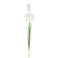 Reed grass, 106 cm, cream