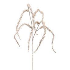 Amaranthus, 83 cm, gold