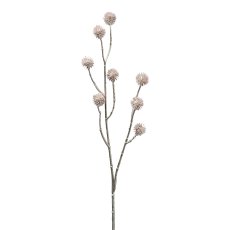 Distelzweig x 8, 67 cm, rosa