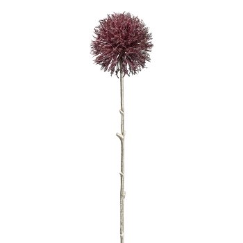 Allium, 49cm, bordeaux