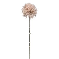 Allium, 49 cm, pink