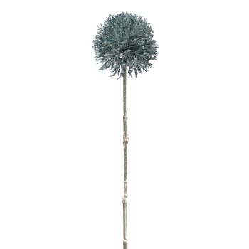 Allium, 49cm, blue