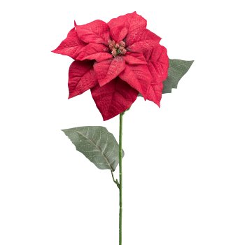 Poinsettie, 74cm, rot