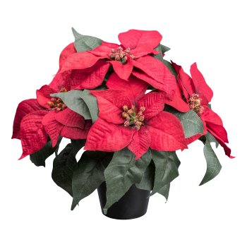 Artificial poinsettia x 5 in pot, 26cm, red