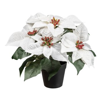 Artificial poinsettia x 5 in pot, 26cm, white