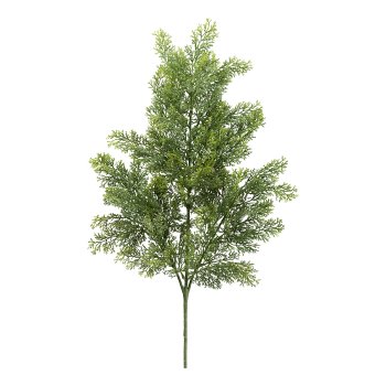 Cypress branch, 89cm, green
