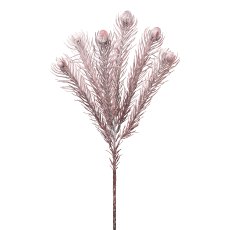 Protea, 49cm, dunkelrosa