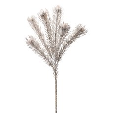Protea, 49 cm, grau