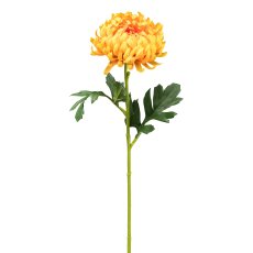 Chrysantheme, 54 cm, orange