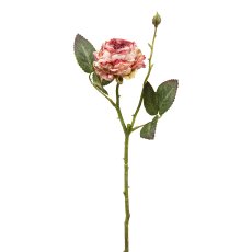 Rose, 45 cm, altrosa