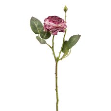 Rose, 45 cm, mauve