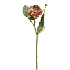 Rose, 45 cm, braun