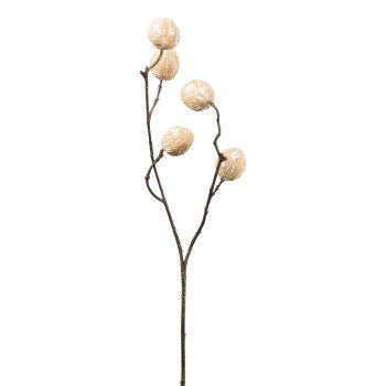 Walnusszweig, 68cm, natur