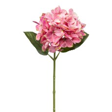 Hortensie, 45 cm, rosa