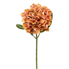 Hydrangea, 45 cm, orange