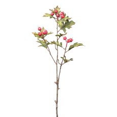 Hawthorn berry branch, 68 cm,