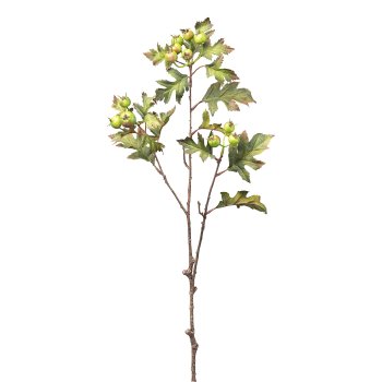 Hawthorn berry branch, 68cm, green