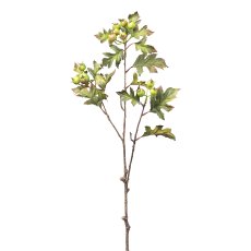 Hawthorn berry branch, 68 cm,