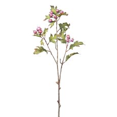 Weißdornbeerenzweig, 68 cm,