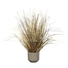 Grass in pot, 46 cm, beige