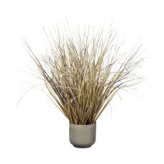 Grass in pot, 55 cm, beige