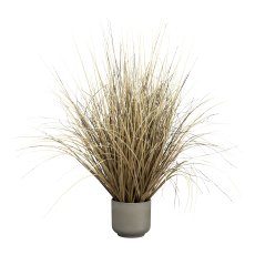 Grass in pot, 70 cm, beige