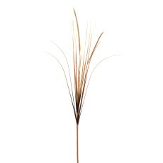 Carexzweig, 78 cm, natur